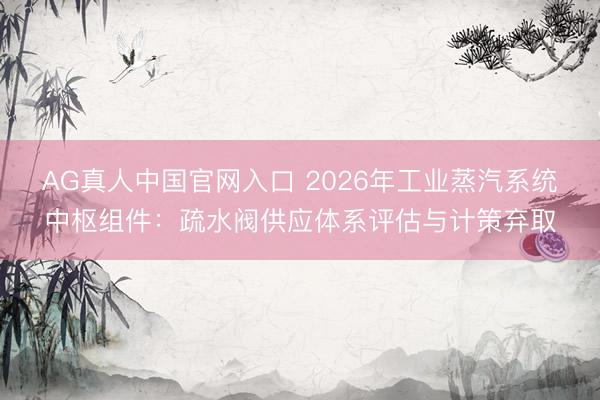 AG真人中国官网入口 2026年工业蒸汽系统中枢组件：疏水阀供应体系评估与计策弃取