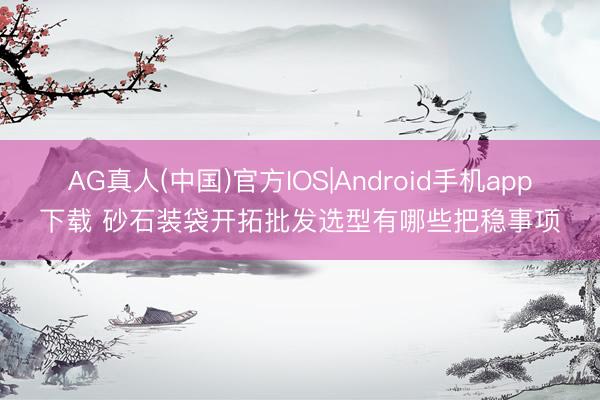 AG真人(中国)官方IOS|Android手机app下载 砂石装袋开拓批发选型有哪些把稳事项