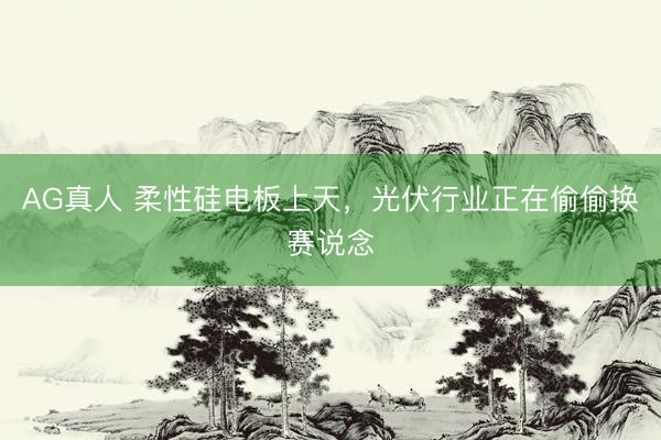AG真人 柔性硅电板上天，光伏行业正在偷偷换赛说念