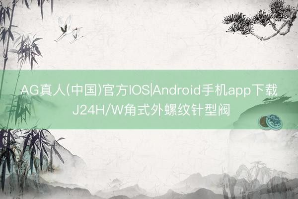 AG真人(中国)官方IOS|Android手机app下载 J24H/W角式外螺纹针型阀