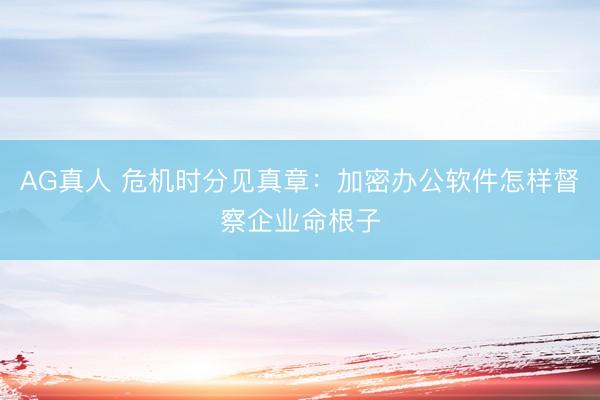 AG真人 危机时分见真章：加密办公软件怎样督察企业命根子
