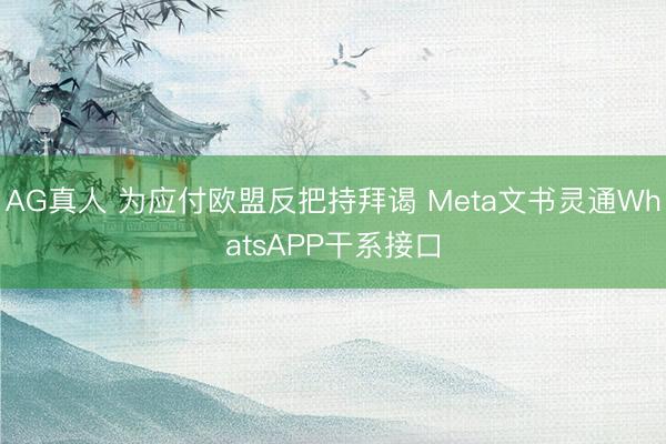 AG真人 为应付欧盟反把持拜谒 Meta文书灵通WhatsAPP干系接口