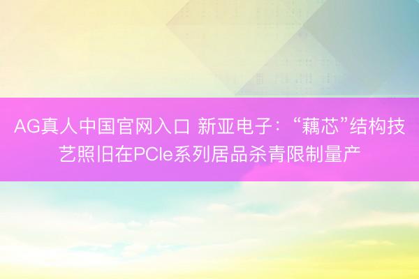 AG真人中国官网入口 新亚电子:“藕芯”结构技艺照旧在PCIe系列居品杀青限制量产