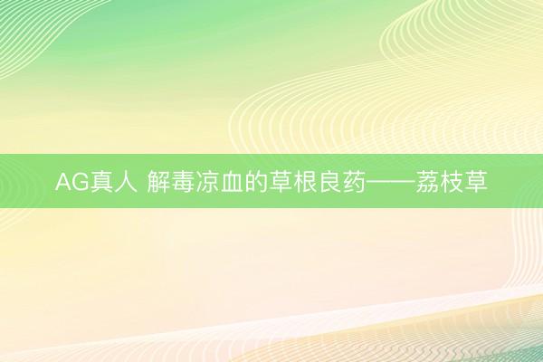 AG真人 解毒凉血的草根良药——荔枝草