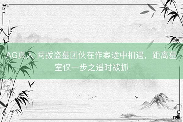 AG真人 两拨盗墓团伙在作案途中相遇，距离墓室仅一步之遥时被抓