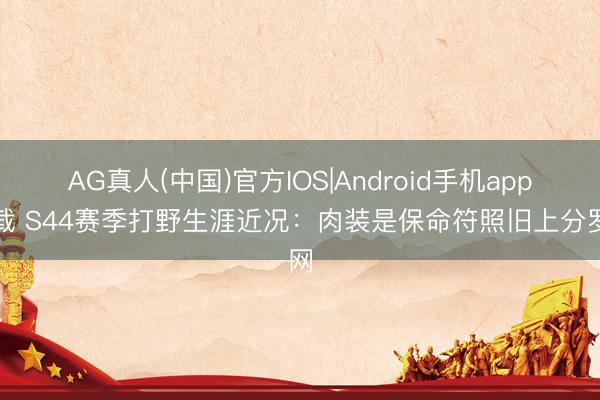 AG真人(中国)官方IOS|Android手机app下载 S44赛季打野生涯近况：肉装是保命符照旧上分罗网