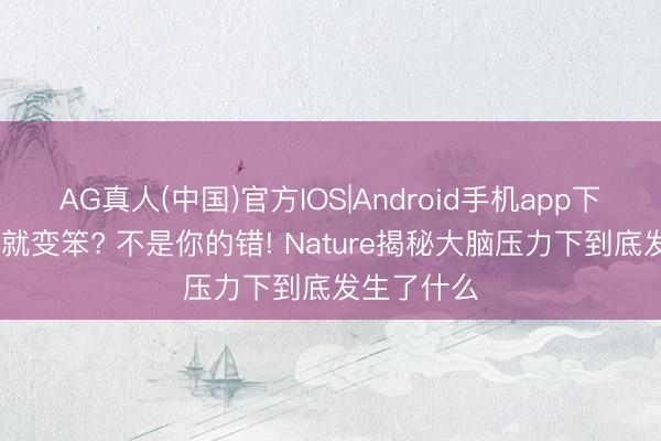 AG真人(中国)官方IOS|Android手机app下载 压力大就变笨? 不是你的错! Nature揭秘大脑压力下到底发生了什么