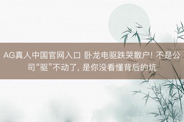 AG真人中国官网入口 卧龙电驱跌哭散户! 不是公司“驱”不动了， 是你没看懂背后的坑