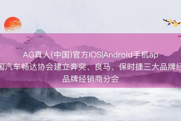 AG真人(中国)官方IOS|Android手机app下载 中国汽车畅达协会建立奔突、良马、保时捷三大品牌经销商分会