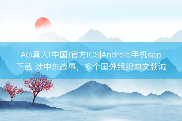 AG真人(中国)官方IOS|Android手机app下载 涉中东战事，多个国外组织勾文牍诫