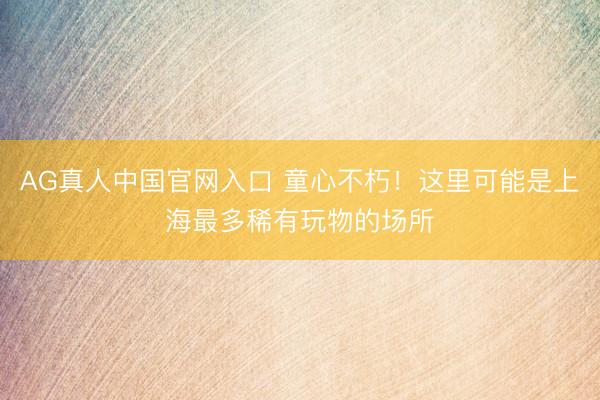 AG真人中国官网入口 童心不朽！这里可能是上海最多稀有玩物的场所