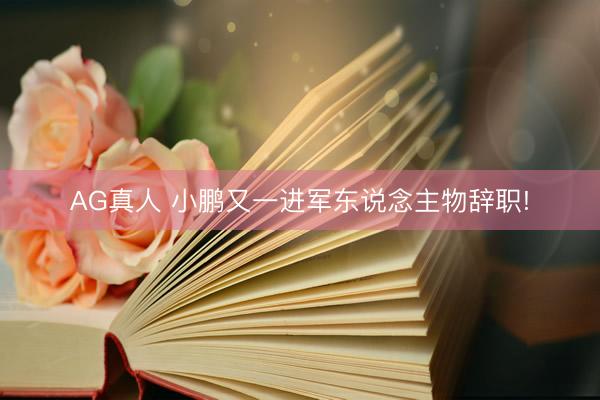 AG真人 小鹏又一进军东说念主物辞职!